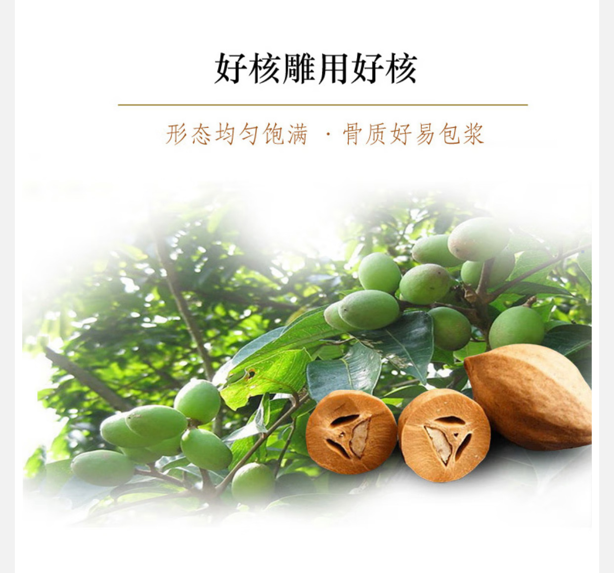 O1CN010cObOZ1pW8bLuzHTn 2216364075367 0 Cib