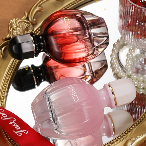 o1cn01gptgtp1e3jjibiphy 3181953815 0 cib