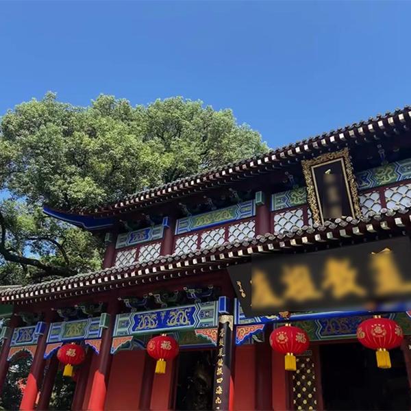 o1cn01ht5d2t2hsie39jr1g 2219355649149 0 cib o1cn01ht5d2t2hsie39jr1g 2219355649149 0 cib