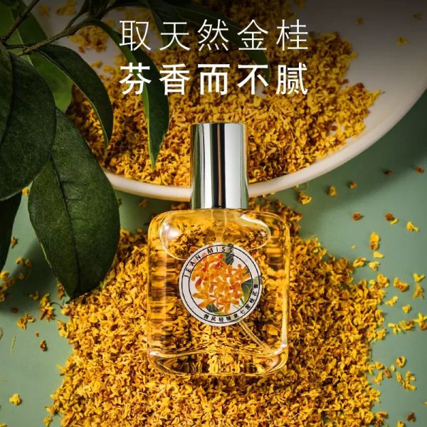 o1cn01crrdig1e3jltn0job 3181953815 0 cib o1cn01crrdig1e3jltn0job 3181953815 0 cib